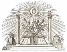 Juvenil